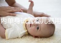 國內單身試管嬰兒費用大概要多少錢一次？附費用明細！