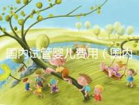 國內(nèi)試管嬰兒費用（國內(nèi)試管嬰兒費用多少）