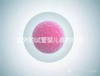 國外的試管嬰兒真的很有優(yōu)勢嗎(國外的試管嬰兒真的很有優(yōu)勢嗎視頻)