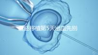 囊胚移植第5天出血先別慌!這可能是“好孕”的征兆
