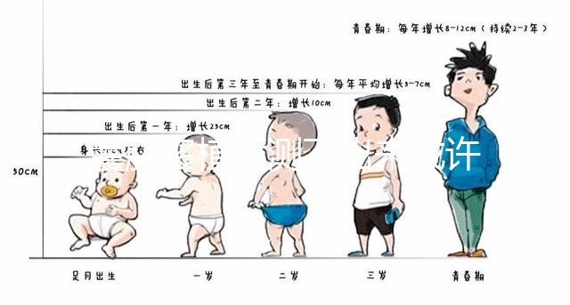 囊胚移植后測不出來或許還有戲,做好這3點處理方法