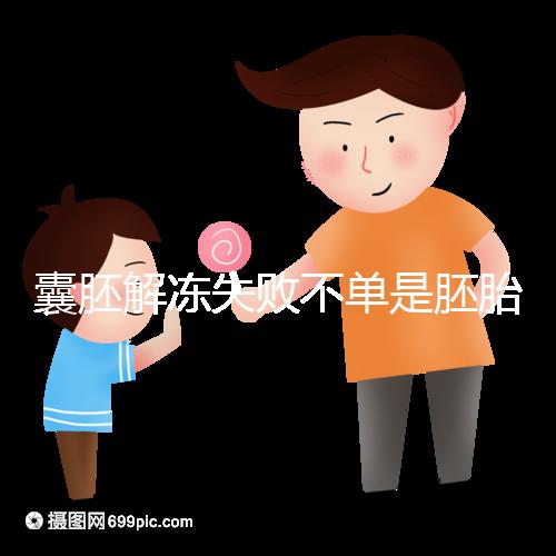囊胚解凍失敗不單是胚胎質(zhì)量問(wèn)題,主要原因在這