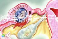 在北京豐臺落戶親子鑒定的地方，首先了解2024年的最新政策