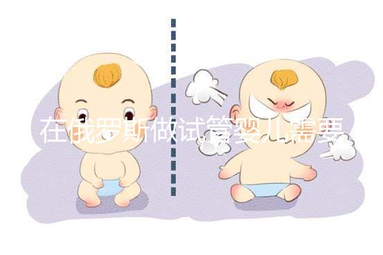 在俄羅斯做試管嬰兒需要什么條件?這四個條件缺一不可