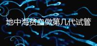 地中海貧血做第幾代試管嬰兒?要看看地貧的表現型