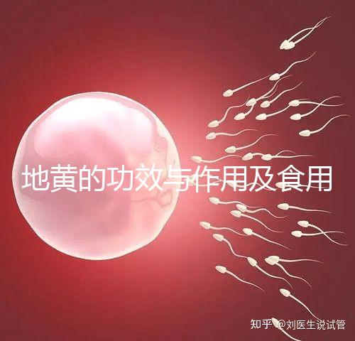 地黃的功效與作用及食用方法(黑豆熟地黃的功效與作用及食用方法)