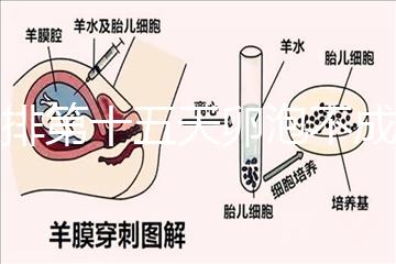 促排第十五天卵泡不成熟還可以治療！1.2等幾天就能長大