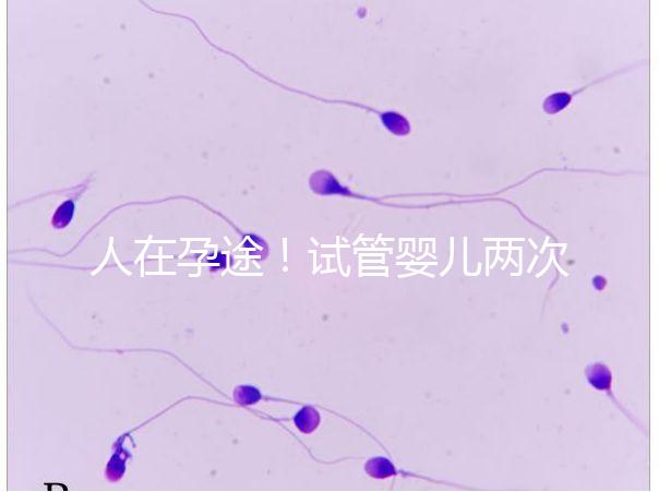 人在孕途！試管嬰兒兩次胎停育,了解這幾招能降低流產風險