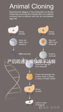 產后疏通乳腺按摩手法解密，不用吸奶器輕松搞定堵奶、奶結