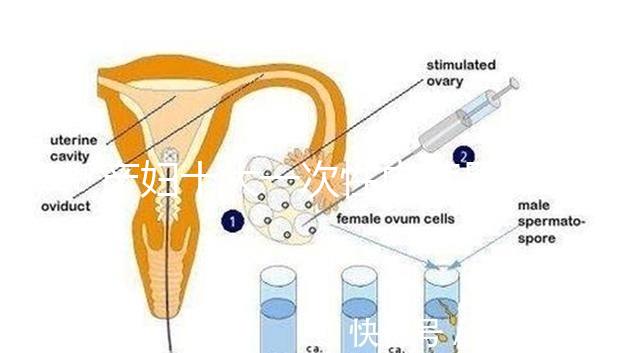 產婦十大一次性內褲品牌排行揭曉,全棉時代質量如何看這
