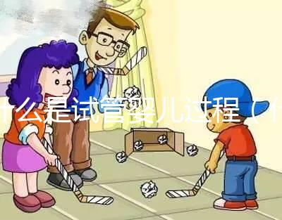 什么是試管嬰兒過(guò)程（什么是試管嬰兒過(guò)程視頻）