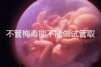 不管梅毒能不能做試管取卵，先弄清楚卵子能不能用