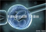 不是創新的創新(不是創新的例子)