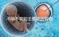 不孕不育的主要原因有哪些