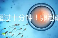 不超過十分鐘！卵泡破裂到輸卵管的時間，備孕必收藏