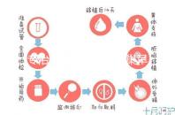 專治停經、絕經、卵巢早衰？利維愛的作用與適應癥分析
