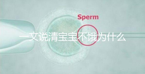 一文說清寶寶不餓為什么瘋狂找奶，找準(zhǔn)原因才好解決