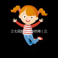 三七花的功效與作用(三七花的功效與作用主治與用量)