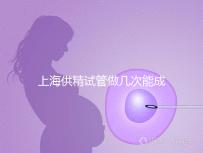 上海供精試管做幾次能成功戳，一次懷孕的多不多看完明白
