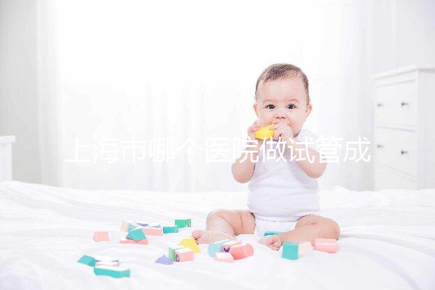 上海市哪個醫院做試管成功率高最好的？