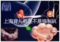 上海育兒假是不是強制執(zhí)行已明確，2024虹口區(qū)何時執(zhí)行戳