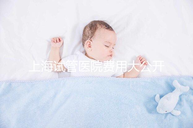上海試管醫院費用大公開！過來人表示無法報銷真不便宜
