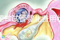 中國做試管嬰兒費用收費價目表一覽，包含具體成本預算