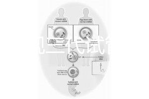 中國正規三代試管嬰兒機構名單，2025生殖機構排名參考