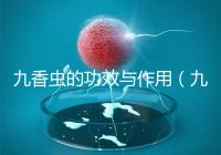 九香蟲的功效與作用(九香蟲和蜈蚣誰(shuí)最壯陽(yáng))
