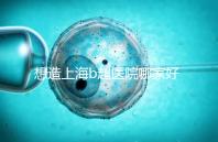 想造上海b超醫(yī)院哪家好別只看費(fèi)用，上海六院登榜前3了解下