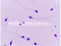 想調(diào)理成酸性體質(zhì)生女兒看過來，這3大食譜科學(xué)又安全