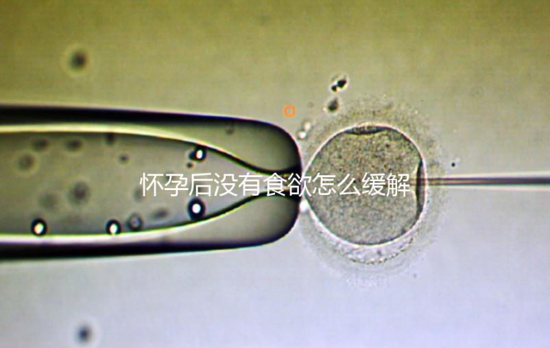 懷孕后沒(méi)有食欲怎么緩解？