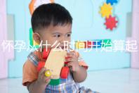 懷孕從什么時間開始算起