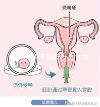 懷孕期間不能吃什么食物？
