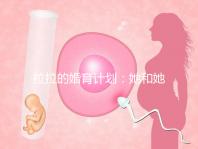 拉拉的婚育計劃：她和她相戀十幾年，終于在塞班結婚了！