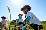 拉拉領(lǐng)結(jié)婚證多少錢?2024年注冊最高數(shù)