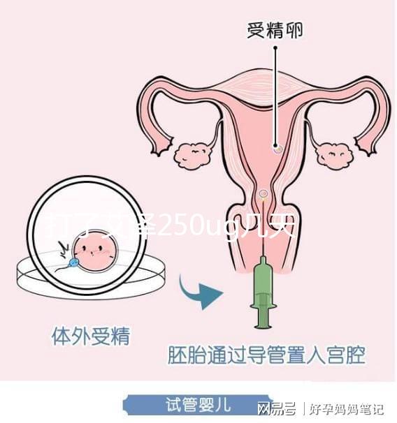 打了艾澤250ug幾天能代謝完戳,第十天別還不敢走下一步