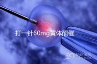 打一針60mg黃體酮催經(jīng)不管用？下個(gè)月肌注三針20mg看看