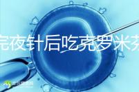 打完夜針后吃克羅米芬不要緊,做好補(bǔ)救工作影響真不大