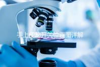 手上便秘開關(guān)位置圖詳解,孕婦想一按就拉請找準(zhǔn)手指再掐