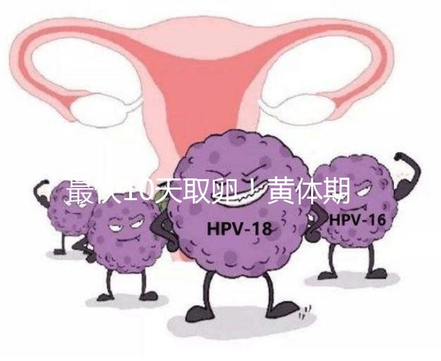 最快10天取卵！黃體期促排需要多長時間看這個指標