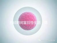 月經(jīng)期間盲目性生活,搞不好真的會(huì)出人命!