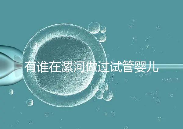 有誰在漯河做過試管嬰兒，具體費用及成功率是多少？