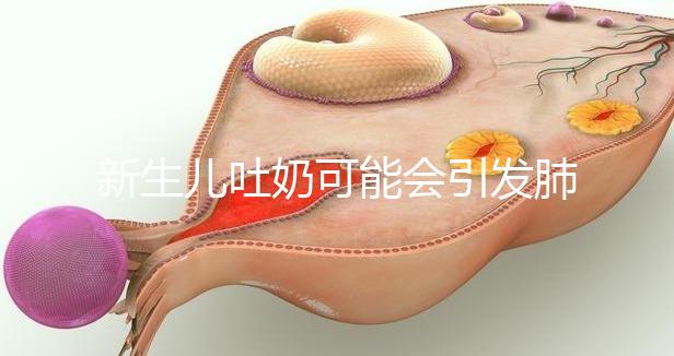 新生兒吐奶可能會引發(fā)肺炎,除此之外還有3點危害