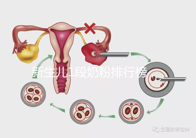 新生兒1段奶粉排行榜，口碑好、價格實惠的品牌紛紛上榜