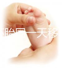 新鮮胚胎同一天移植的植入是否會有早晚，幾天三分鐘就能說清楚