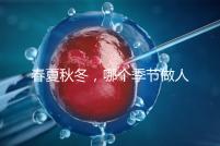 春夏秋冬，哪個季節(jié)做人工授精成功率最高？