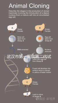 武漢市第一醫(yī)院第二代試管怎么樣?2024年助孕成功率數據公布