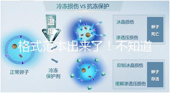 格式范本出來了！不知道出生證明遺失申請書怎么寫看這兒