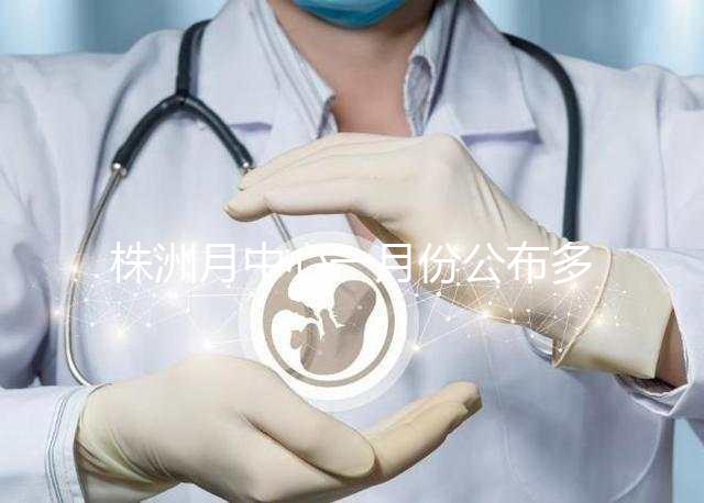 株洲月中心一月份公布多少錢?附2024年蘆松區(qū)排行榜